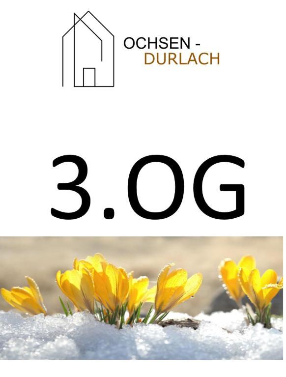 Ochsen-Durlach Καρλσρούη Δωμάτιο φωτογραφία